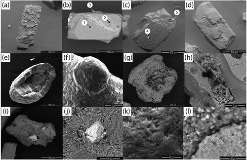 Figure 3. (a) Anorthoclase with intervesicular walls; (b) plagioclase with apatite crystals (1) and small adhering particles (2, 3); (c) plagioclase with dissolution etching (4, 5); (d) plagioclase with precipitation coating; (e) euhedral analcime with clay coating; (f) analcime with solution etching; (g) tabular crystals of clinoptilolite–heulandite; (h) probable clinoptilolite in vesicle rocky fragment; (i) and (j) cracks and fractured faces in magnetite; (k) and (l), clay minerals.
