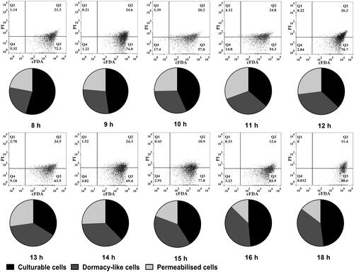 Figure 5. Composition of L. bulgaricus cellular states during batch culture identified by FCM and molecular methods. Dot plots are L. bulgaricus sp1.1 cells double-stained with cFDA and PI. Every pie sector corresponds to permeabilized and viable (including culturable and dormant-like) cells. The relative abundance is the relative proportion of each state in total unlysed cells.