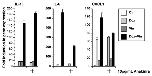 Figure 3. Doxorubicin and vincristine synergistically increased gene expression. RNA was extracted from LPS-unprimed BMDM after 12 h of exposure to doxorubicin, vincristine, or both in the presence or absence of anakinra. The expression of IL-1β, IL-6, and CXCL1 was quantitated using real-time RT-PCR.