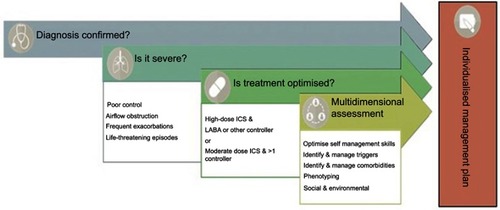 Figure 1 Checklist for the multidimensional assessment of severe asthma.