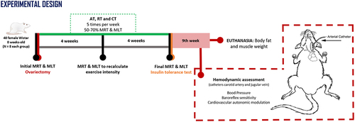 Figure 1 Experimental design. In the 1st week of the protocol were performed the maximum running capacity test (MRT), maximum load test (MLT) and ovariectomy surgery. The three types of exercise training were performed for 8 weeks at moderate intensity (50–70% MRT and MLT). In the 4th week MRT and MLT were performed to readjust exercise intensity for the next 4 weeks. At the 8th week, glycemia and insulin tolerance test were measured. In the 9th week hemodynamic assessments were performed to evaluate blood pressure, baroreflex sensitivity and cardiovascular autonomic modulation. Then, euthanasia was performed to measure body fat and muscle weight.