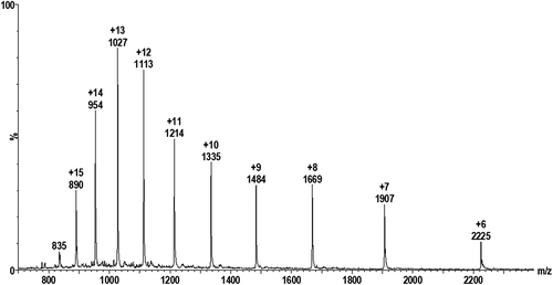 Figure 1. Electrospray mass spectrum for 15 mg/L cystatin C.