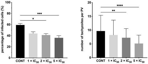 Figure 6. Influence of 20b during Toxoplasma tachyzoites growth. T. gondii tachyzoites were pre-incubated for 3 h with 20b or culture medium alone (control group/untreated group). Then, the cell monolayers were rinsed and incubated in the treatment-free medium for a further 24 h. (A) Percentage of infected cells. (B) Number of tachyzoites per PV. PV: parasitophorous vacuole; cont – control group (untreated parasites). Data shown are the combined averages of three independent experiments on triplicate chamber slides under the same conditions. Error bars indicate standard error of the mean. Values with statistically significant differences are labelled by brackets and asterisks as follows: ****p < 0.0001. Data were compared using a two-way ANOVA followed by Dunnett’s multiple comparisons test.