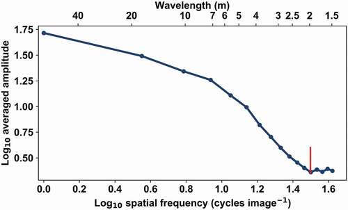 Figure A3. Averaged amplitude spectrum of measured reflectance (λ=835 nm) for one of the additional test regions in log-log coordinates. The red line corresponds to the visually located breaking point at 1.98 m.