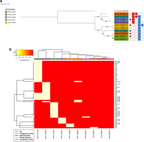 Fig. 6 Phylogenetic tree. aPhylogenetic tree of faecal/oral paired samples based on the whole genome and b Heatmap of genes found to be core only in oral samples and core in only faecal samples from oral/faecal paired samples. Columns: Full stars represent faecal samples, empty stars represent oral samples. Squares represent presence in genome assemblies and circles presence in plasmid assemblies. “Red” represents Exo9 whilst “blue” represents ZOT presence. Full shapes indicate presence, empty shapes indicate absence. For plasmids, there are some samples with no shape. This indicates that plasmids were not assembled for this sample. Heatmap: There are two colour rows representing metadata for the samples. The first represents the host disease presentation with a legend available. The second represent the GS of the isolate with “red” referring to GSI and “blue” to GSII