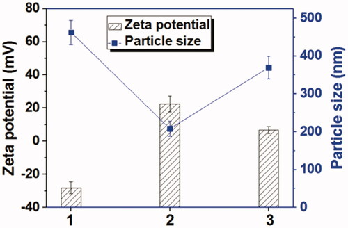 Figure 3. The zeta potentials and particle sizes of GO, Tf-HPAA-GO, and Tf-HPAA-GO in the presence of 10 mmol/L GSH (37 °C for 4 h) (1: GO; 2: Tf-HPAA-GO; 3: Tf-HPAA-GO mixed with 10 mmol/L GSH).