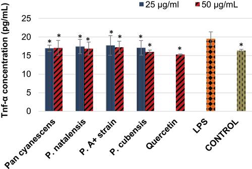 Figure 2 Inhibitory effects of the hot-water extract (25 and 50 µg/mL) of Pan cyanescens, P. natalensis, P. cubensis and P. A+ strain mushrooms and the positive control, quercetin (50 µg/mL) on the LPS-induced TNF-α production over 24 h. Control cells were differentiated but neither induced with LPS nor treated. LPS: differentiated and LPS-induced. (*Statistically significant).