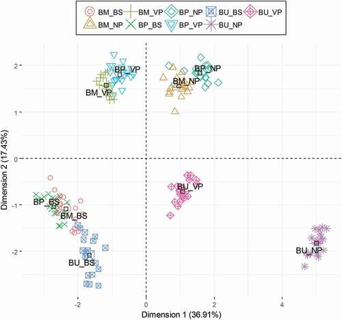 Figure 3. Multiple factor analysis plot of bryndza cheese varieties individuals during storage.BU, bryndza cheese made from unpasteurised ewe milk; BP, bryndza cheese made from pasteurised ewe milk; BM, bryndza cheese made from unpasteurised ewe milk with addition of cow lump cheese from pasteurised milk (50%); BS, before storage; NP, after the 14th day of storage without packaging; VP, after the 14th day of vacuum packaging storage.