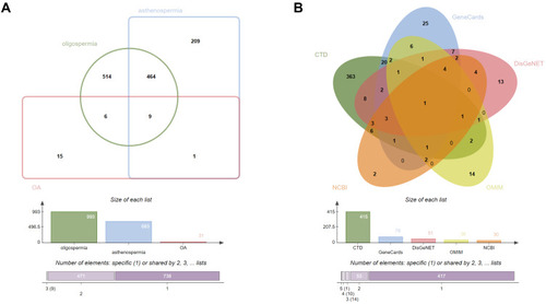 Figure 3 OA-related targets. (A) Venn diagram: OA-related targets are 495, including 473 common targets between oligospermia and asthenozoospermia, and 31 targets from the search term “oligoasthenozoospermia”. (B) Venn diagram: the number of OA-related targets from the five different databases is 415, 78, 51, 36, and 30, respectively. The common target is androgen receptor (AR).