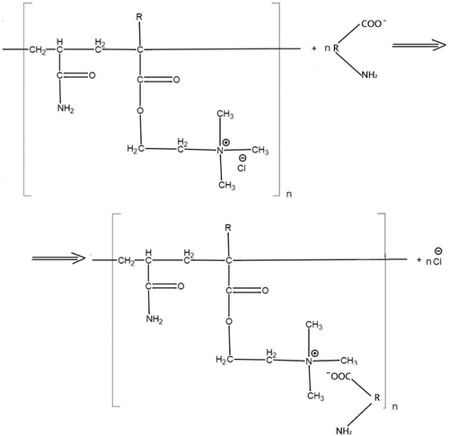 Figure 5. The elimination of bacterium with the aid of cationic PAM via the charge neutralization mechanism.