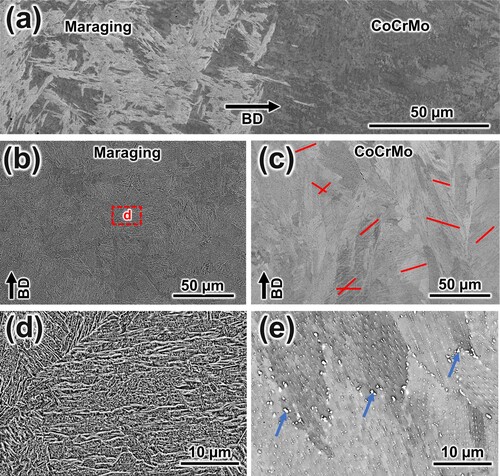 Figure 7. Microstructural features after HT2: (a) transition zone, (b, d) maraging steel lath structure and (c, e) CoCrMo structure.