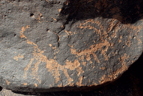 Fig. 8. Possible Neolithic petroglyph showing a cheetah hunting an oryx (© B. Müller-Neuhof—DAI-Orientabteilung).