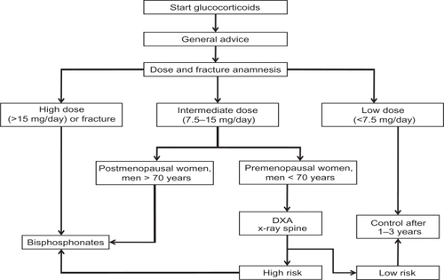 Figure 2 Diagnostic and therapeutic steps in making decisions for the prevention of glucocorticoid-induced osteoporosis. Reproduced from Geusens PP, de Nijs RNJ, Lems WF, et al. Prevention of glucocorticoid osteoporosis: a consensus document of the Dutch Society for Rheumatology. Ann Rheum Dis. 2004;63:324–325. Copyright © 2004, with permission from BMJ Publishing Group Ltd.