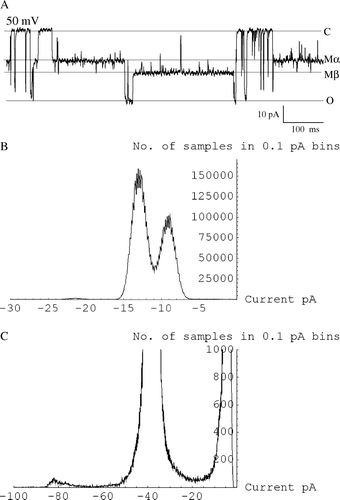 Figure 4.  The β modified state of 8β-amino-9α-hydroxyryanodine is only occasionally observed with Q4863A RyR2. (A) Trace showing one occurrence of occasional β modified state. (B) All points amplitude histogram of mouse wt RyR2 in the presence of 8β-amino-9α-hydroxyryanodine at 20 mV showing two clear levels in the modified state. (C) All points amplitude histogram of mouse Q4863A RyR2 in the presence of 8β-amino-9α-hydroxyryanodine at 90 mV showing only a single level in the modified state.