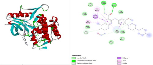 Figure 1. The 3D and 2D structures of gilteritinib in complex with FLT3 (PDB ID: 6JQR) before docking.