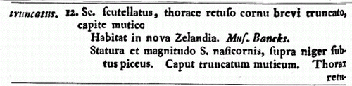 Figure 3  Part of the description of the large sand scarab (Pericoptus truncatus) by JC Fabricius in Systema Entomologiae, 1775.