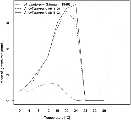 Figure 4. Growth rates of two Allantophomopsis cytisporea strains and Herpotrichia pinetorum at various temperatures.