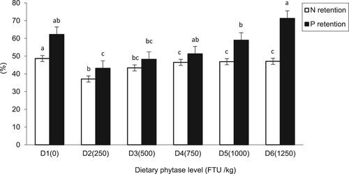 Figure 2. Nitrogen (N) and phosphorus (P) retention (%) in juvenile mrigal fed graded dietary phytase levels for 90 days.