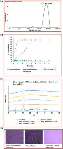 Figure 2. Characterization of nanocrystalline zileuton. (A) The stability of the spray dried nanocrystalline zileuton was evaluated via particle size analysis (Zetasizer, DLS) to ensure absence of aggregation prior to use either in vitro or in vivo experimental procedure. The spray dried nanocrystalline zileuton particle size: 571 nm ± 47 nm. (B) The in vitro dissolution profiles for nanosuspension (∼98% dissolved in 1.5h) spray dried crystalline nanodrug (∼95% dissolved in 4h) and macro-crystalline drug (∼6% dissolved in 24h); (C) PXRD diffraction profiles of the neat macrocrystalline zileuton (raw crystalline drug), physical mixture of the drug (zileuton), polymer (KollidonVA64 fine), surfactant (Dowfax2A1) and sugar (trehalose) and the optimized spray-dried nanocrystalline zileuton formulation. (D) PLM images of the neat macrocrystalline zileuton (raw crystalline drug), physical mixture (zileuton, KollidonVA64 fine, Dowfax2A1 and trehalose) and the optimized spray-dried nanocrystalline zileuton formulations. Note: All images are of 10× magnification. Berek compensator was used for a different background.