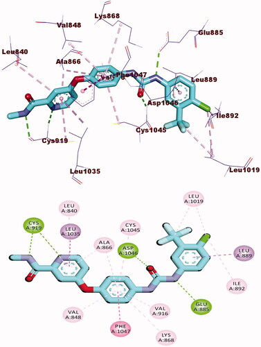 Figure 5. 3D and 2D binding mode of sorafenib into VEGFR-2 active site.