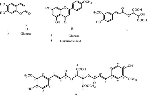 Figure 1. Structure of isolated compounds (1–6).