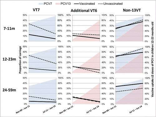 Figure 4. Pneumococcal carriage in children 7–11, 12–23 and 24–59 months old attending pediatric emergency room, southern Israel: vaccinated vs. unvaccinated.