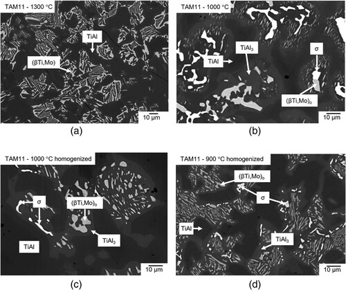 Figure 8. BSE images of alloy TAM11 (Ti-56.1Al-10.9Mo) (a) heat-treated at 1300 °C showing a two-phase microstructure composed of (βTi,Mo) (bright) and TiAl (dark); (b) heat-treated at 1000 °C; (c) homogenised at 1300 °C for 48 h and subsequently heat-treated at 1000 °C; and (d) homogenised at 1300 °C for 48 h and subsequently heat-treated at 900 °C showing (βTi,Mo)o (grey), TiAl (dark), TiAl3 (light grey), and σ phase (bright) in their respective microstructures.