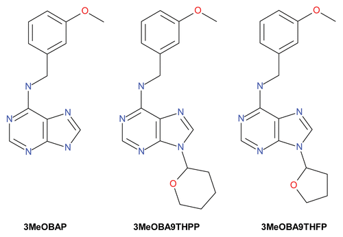 Figure 1. Structure of 3MeOBAP and two of its N9-derivatives used in the study.