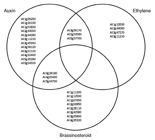 Figure 2 BBX21 downregulates the gene expression of auxins, brassinosteroids and ethylene under shade. Venn diagram shows genes upregulated in bbx21 seedlings under canopy that are significant associated with hormone genes expressed in the auxin, ethylene and brassinosteroid signaling networks during seedling development.