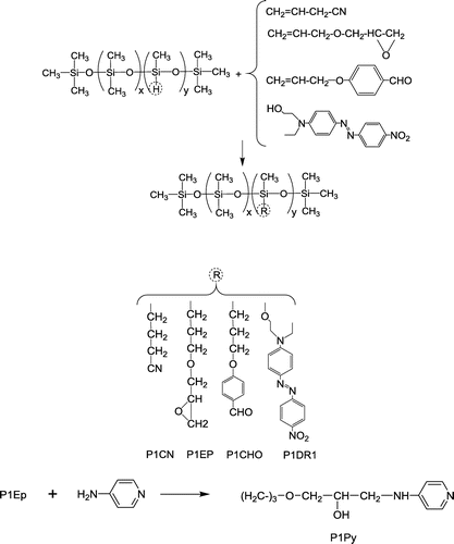 Scheme 2. Synthesis of the polar silicones derived from P1.