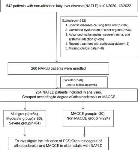 Figure 1 Flowchart of the study.