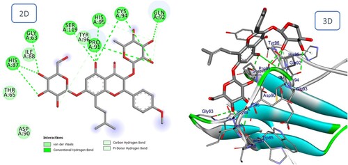 Figure 13. 2D and 3D representation of predicted binding mode of Icariin with BMPII receptor.