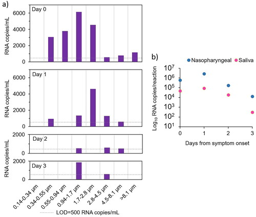 Figure 3. (a) SARS-CoV-2 RNA concentrations from all exercises (added together) on each day in the eight impactor stages. The dashed line indicate the limit of detection (LOD) for one sample. (b) RNA concentration in nasopharyngeal and saliva samples on the day of symptom onset (day 0) and the following three days (note the logarithmic scale).