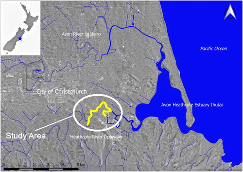 Figure 1. Location of the study area in the Heathcote/Ōpāwaho catchment with survey extent shown in yellow.