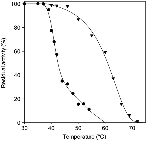 Fig. 3. Thermal stability of the lipases.Note: The thermal stability of P. solitum 194A (●) and C. cladosporioides 194B (▼) lipases was assessed by subjecting each to heat treatment ranging between 30 and 75 °C. After 10 min of incubation at a given temperature, the enzyme sample was chilled and residual activity was measured. Residual activity was expressed as a percentage of the enzyme activity before incubation.