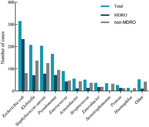 Figure 2 Pathogen distribution and antimicrobial susceptibility testing reports.