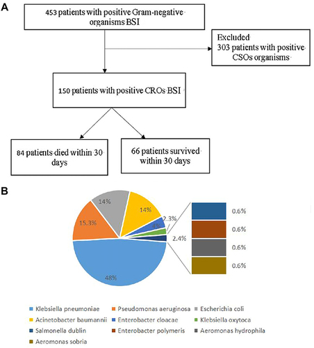 Figure 1 (A) Screening algorithm of the HM patients with Carbapenem-resistant Gram-negative organisms Bloodstream infection. In all, 453 hospitalized patients had positive Gram-negative organisms BSI, and a total of 150 eligible, unduplicated cases were recruited into this study. (B) Distribution of Carbapenem-resistant Gram-negative bacteria BIS.