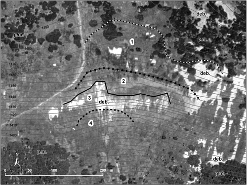 FIGURE 3.  Orthophotomap of the investigated area with four zones demarcated in the nivation depression and its surrounding. (1) Zone of small depressions; white patches are Quaternary debris patches surrounded by Calluna vulgaris, Vaccinium vitis-idaea, V. myrtillus, and V. uliginosum. (2) Upper part of the nivation depression with undisturbed ground surface; the dominant plant species Nardus stricta, and patches of Molinia caerulea below Quaternary debris. (3) Main zone of active processes of nivation, with the dominant plants Avenella flexuosa, Deschampsia cespitosa, and Gnaphalium supinum. (4) Zone of solifluction lobes and slope debris, with Juncus filiformis, Viola palustris, and Deschampsia cespitosa in waterlogged soil with periodical flows. Contour interval is 5 m. The white line in the upper left hand corner is an abandoned summer footpath. Abbreviations: deb.—debris fields, on the right side of the figure Quaternary debris fields; p. m.—plants of dwarf pine (Pinus mugo)