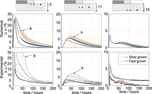 Figure 6. Calculated and measured moisture content increase over the single 6.5 h spray sequence in the laboratory experiment. The first row of sub-figures shows the numerical solution and the second row shows the experimental results for slow-grown- and fast-grown wood, respectively.