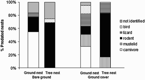 Figure 2. Percentage of nests depredated for each predator group in each cover type (ground cover vs. bare ground), and at each nest site (ground vs. tree).