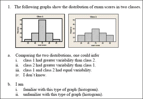 Figure 1. Assessment Item 1