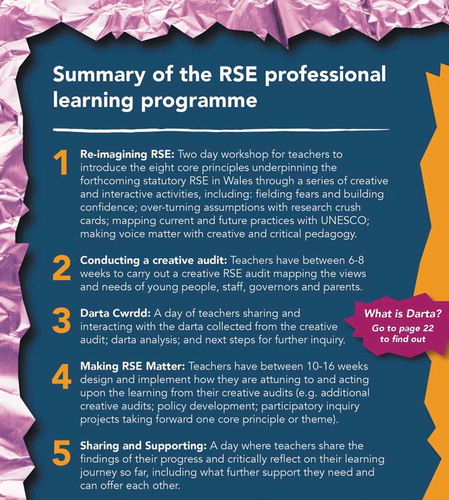 Figure 2. Professional learning programme summary. See Renold et al. Citation2020a, p.15
