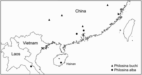 Figure 1. Distribution of the species of Philosina.