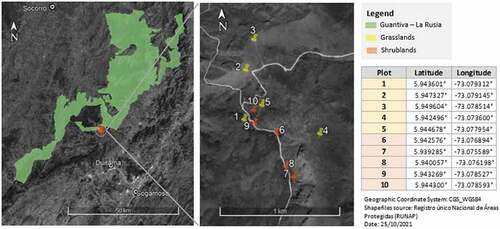 Figure 1. Location of the La Rusia páramo in the Colombian eastern cordillera, and precise geolocation of thevegetation plots, divided into grassland and shrubland plots, established for this study, .