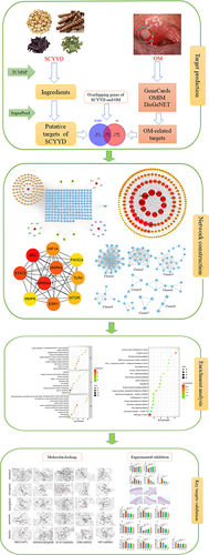 Figure 1 Detailed workflow of present study.