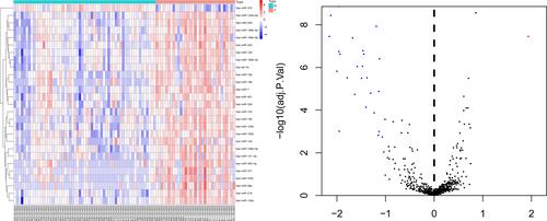 Figure 1 Heat map and volcano plot of differentially expressed microRNAs.