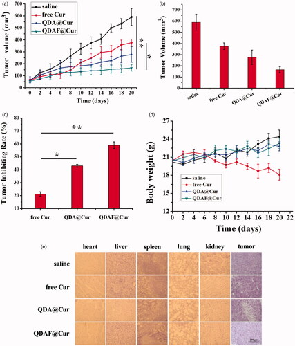 Figure 12. In vivo antitumor activity of NMs in nude mice bearing MCF-7 cells. (a) Tumor size. (b) Changes in tumor volume over time. (c) Tumor inhibition rate of various NMs. (d) Changes in the body weights of mice during treatment. (e) Histological images of tumors and major organs after different preparation processing (scale bar = 200 µm).