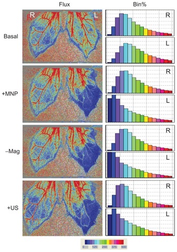 Figure 6 Ultrasound partially restored tissue perfusion of the left cremaster muscle after magnet removal.Notes: Administration of MNPs (10 mg/kg; +MNP) was followed by magnet removal (−Mag) and application of ultrasound (+US) on the left (L) cremaster muscle piece, with the right (R) cremaster muscle as the control. Results of the frequency analysis of the perfusion map are illustrated as % bin in the right panel. These results are representative of four experiments.