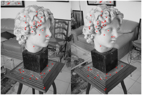 Figure 7. Example of images used for testing the feature matching procedure. Feature matchings shown in the figure have been obtained by means of the SIFT.