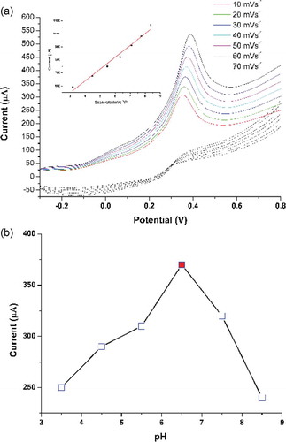 Figure 5. The electrochemical behavior of TA-CuO/GCE/Naf against A: variation of scan rate in range of 10–70 mVs−1 and B: pH of the PBS buffer system in range of 3.5–8.5.